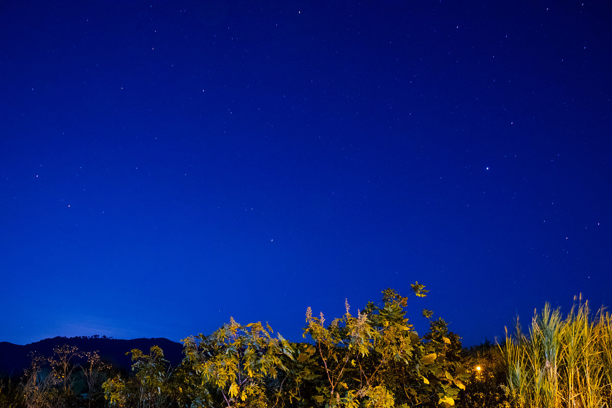 图书管理系统技术方案介绍及评价