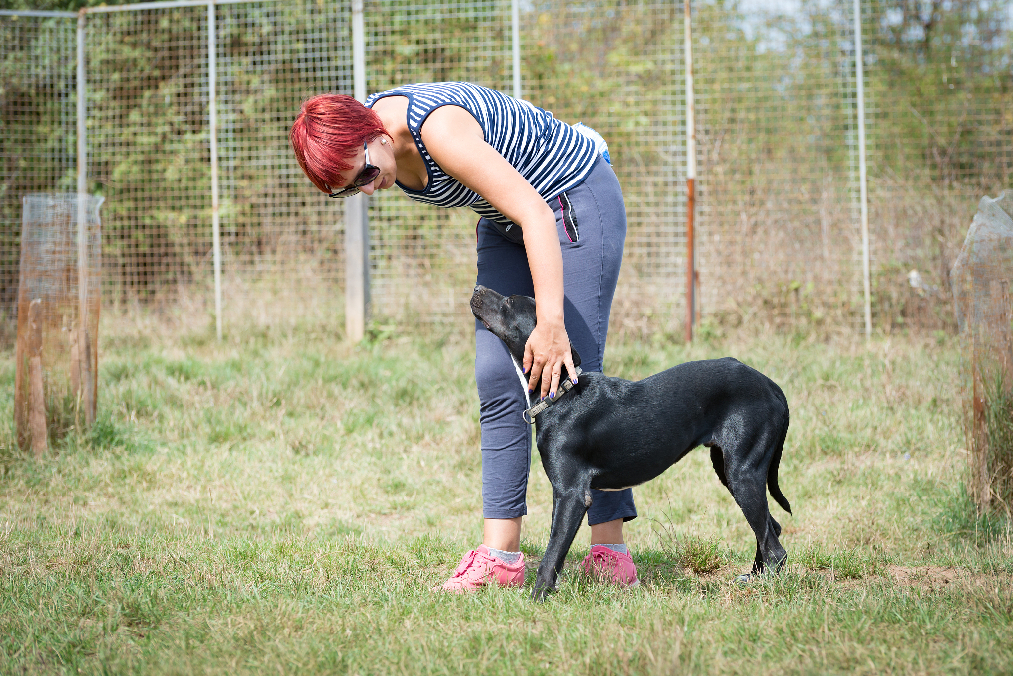 江苏省海安双楼中等专业学校宠物养护与驯导有发展前途吗？