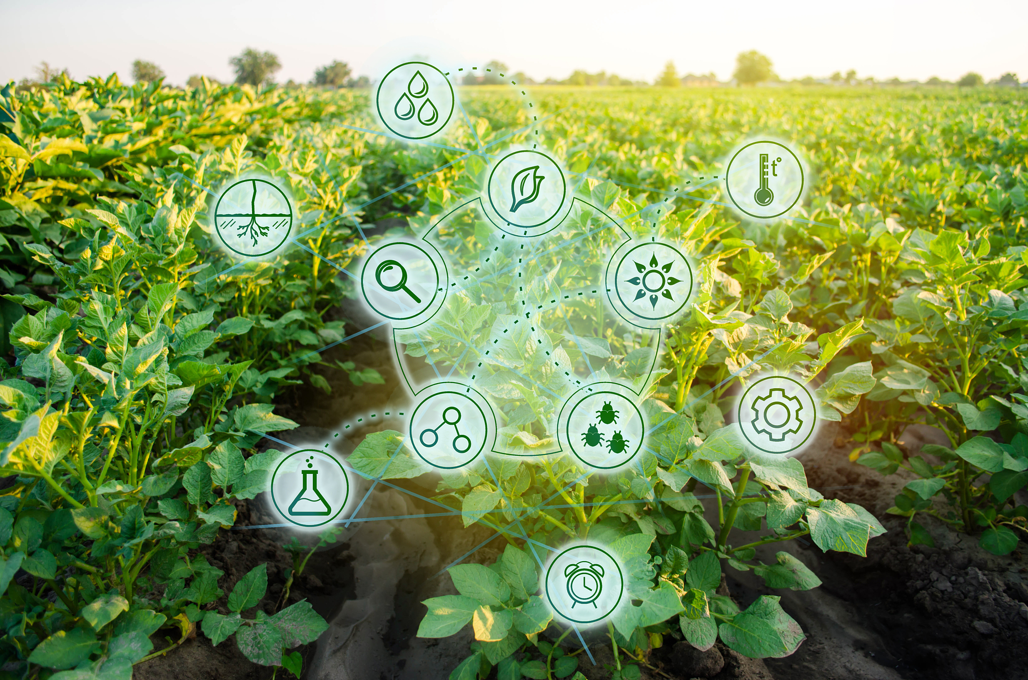 农畜特产品加工专业前景：绿色、差异化、产业化、国际化