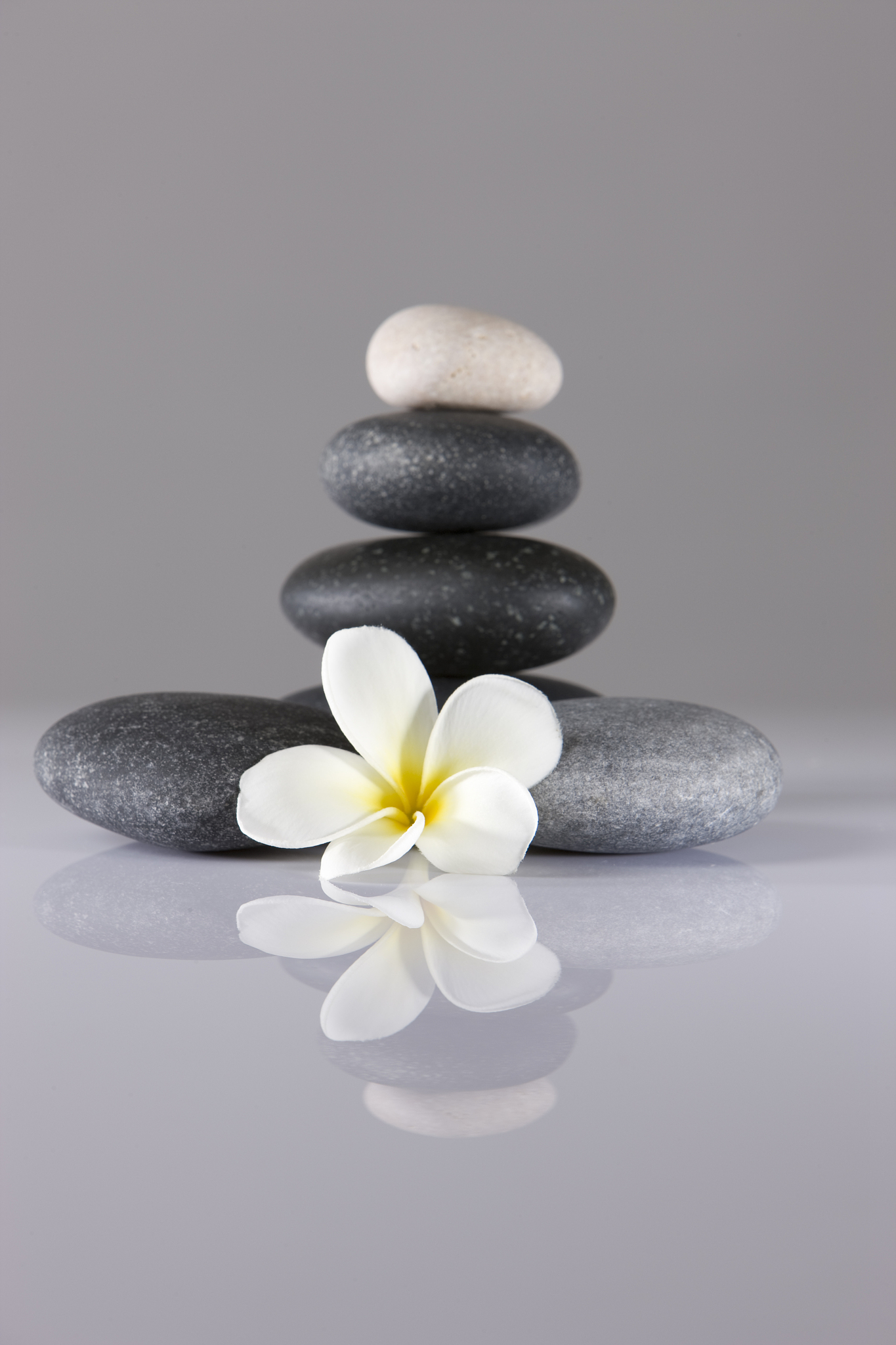 zen spa