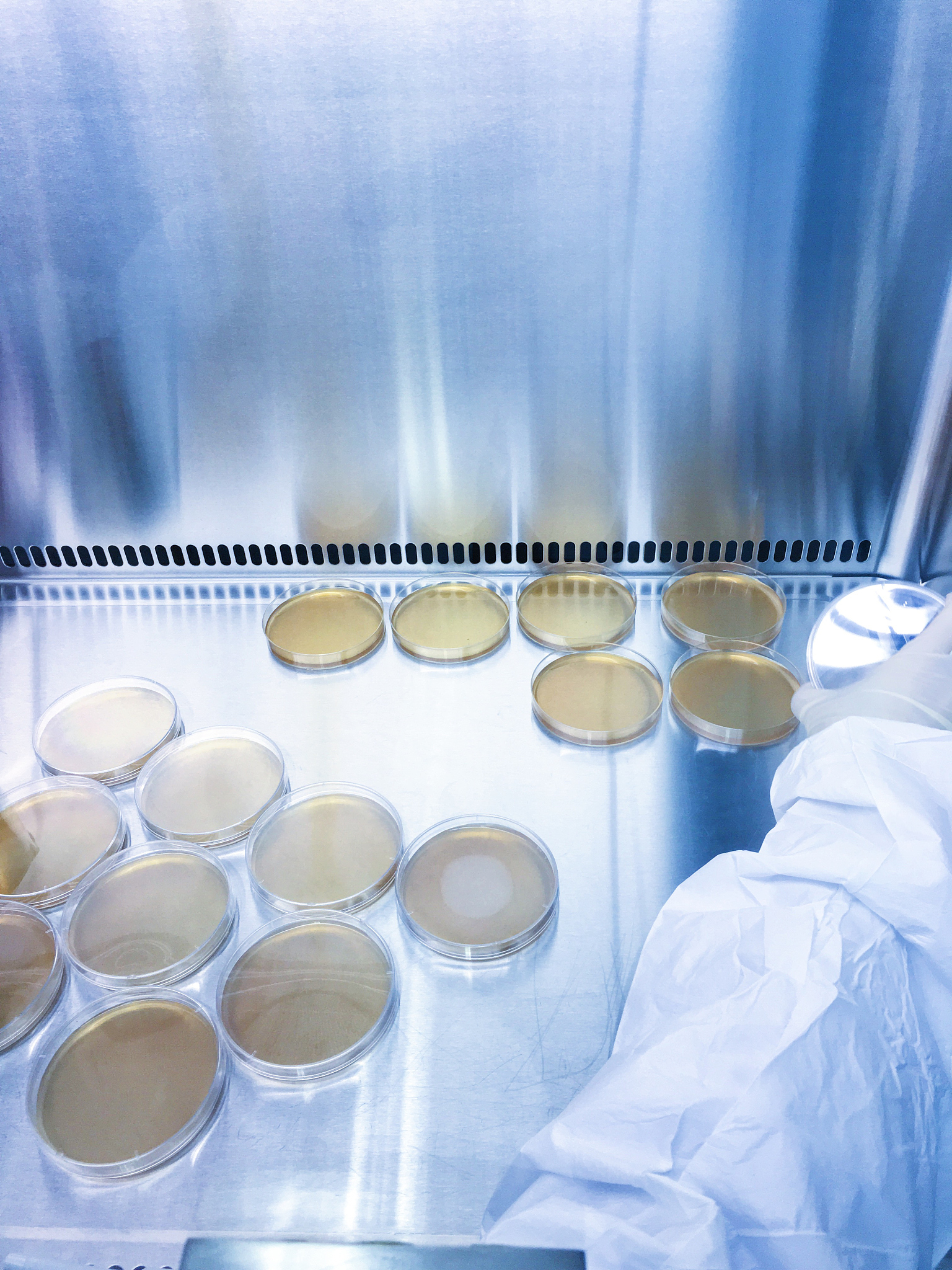 西安医学高等专科学校热门专业推荐：临床医学、护理学、医学影像技术等