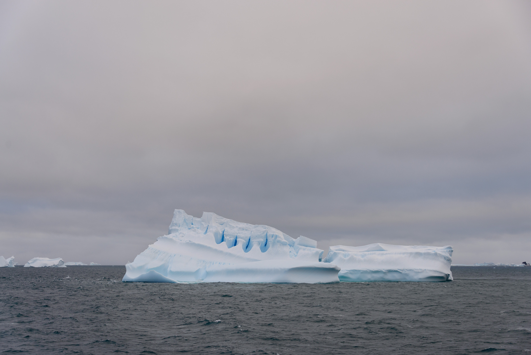 iceberg in antarctic sea