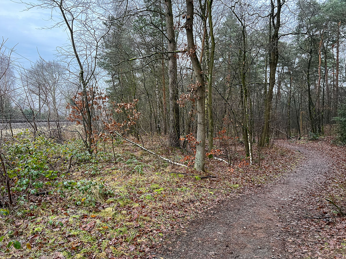 四川铁路职业学校招生：初中生也能报考吗？