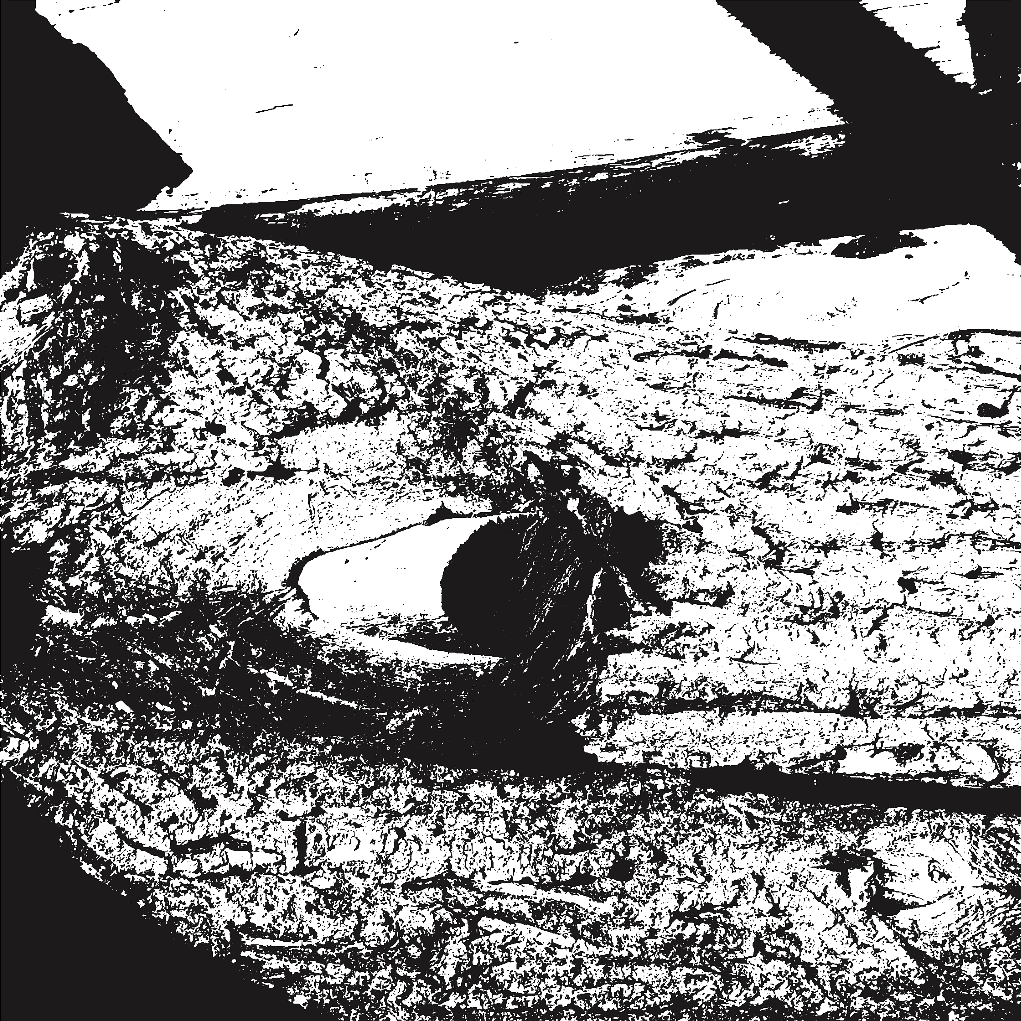 等价交换的代价：一段钢之炼金术师同人小说