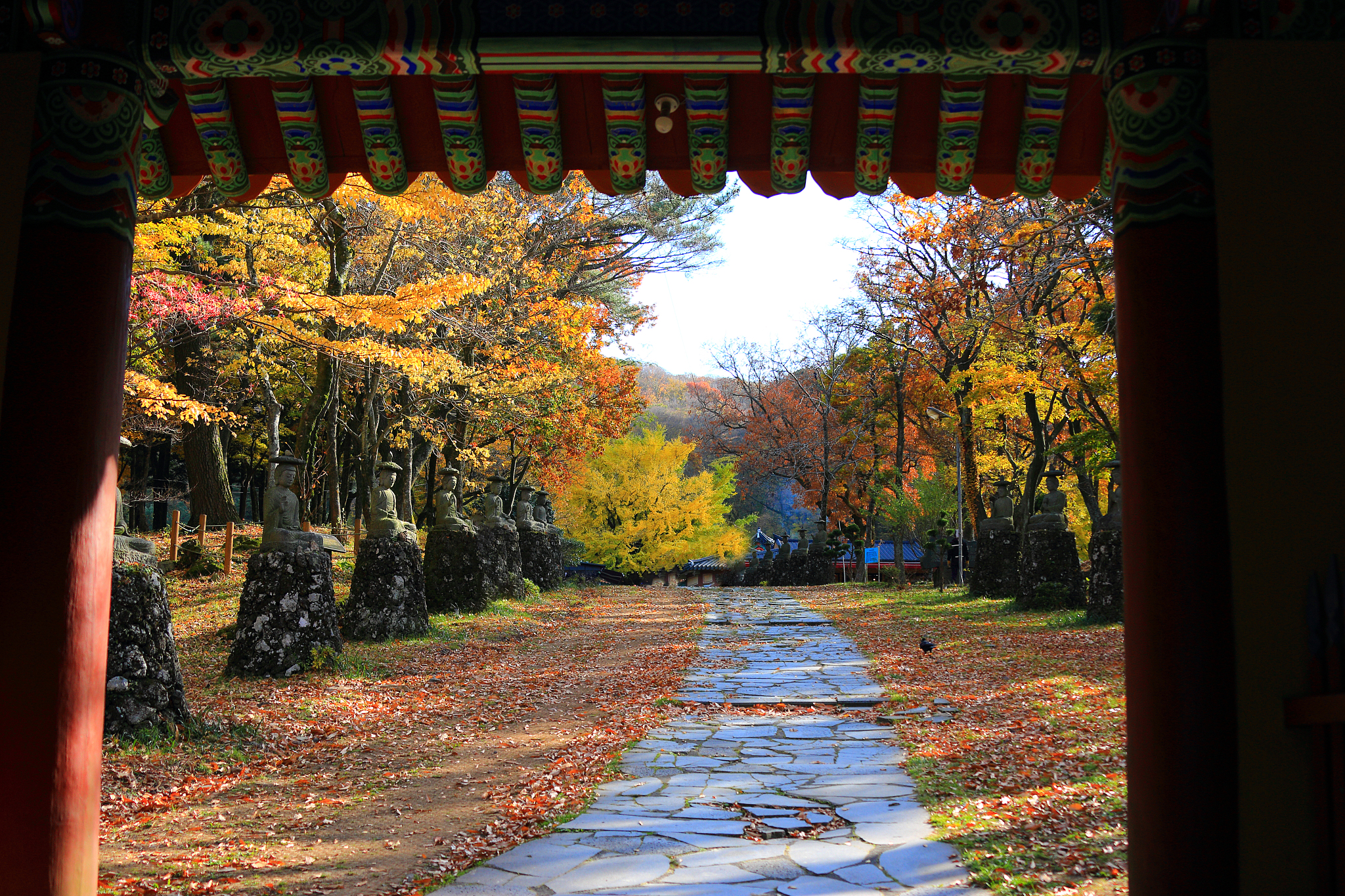 gwaneumsa, autumn, autumn leaves,