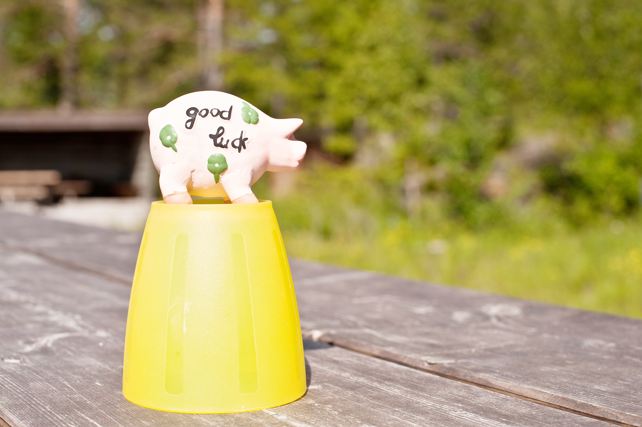 猪谜语：医者仁心魂出窍，猜一个生肖