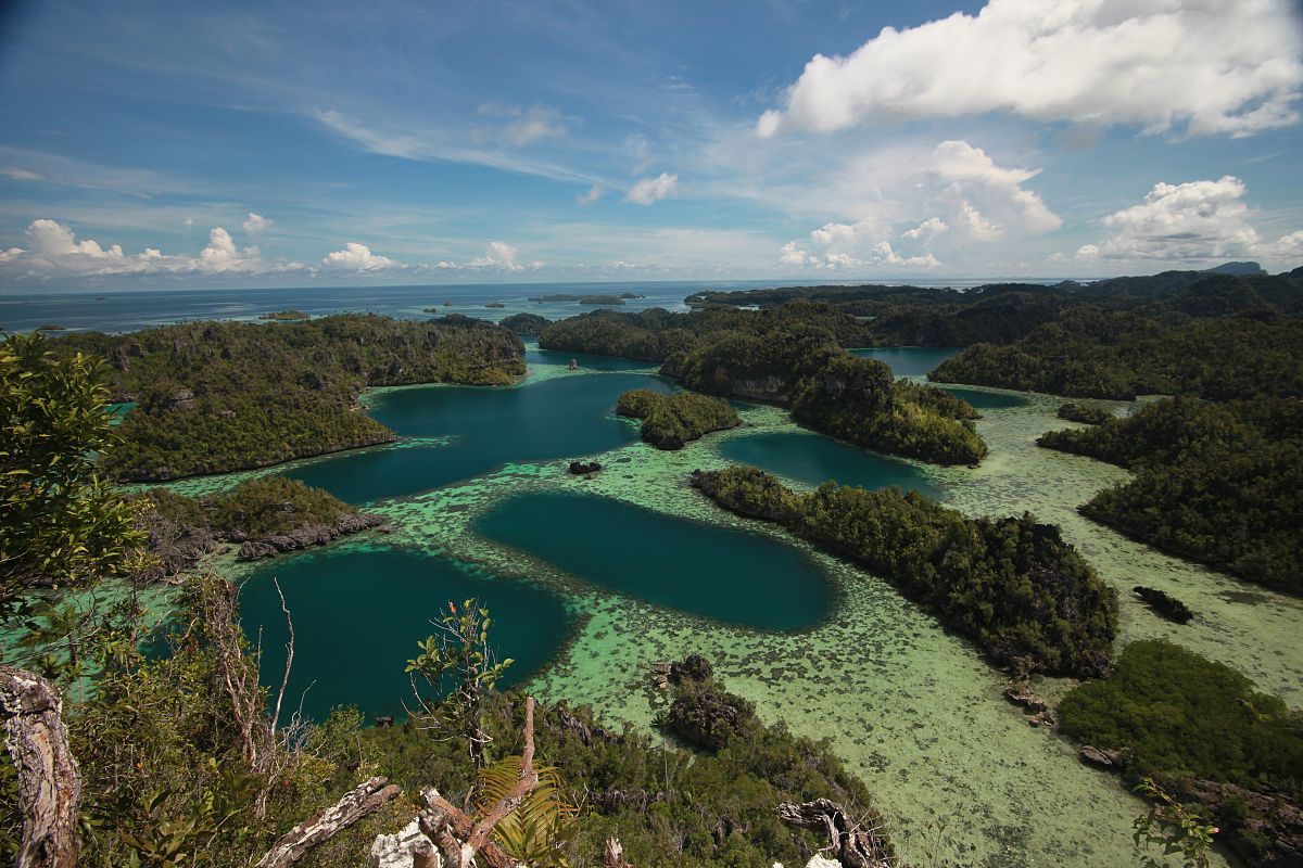 Maui was a unique set of circumstances Perhaps if they’d have sounded the evacuation alarms more people would’ve survived it Easy to be a Monday Morning quarterback though Hard to believe Lahaina