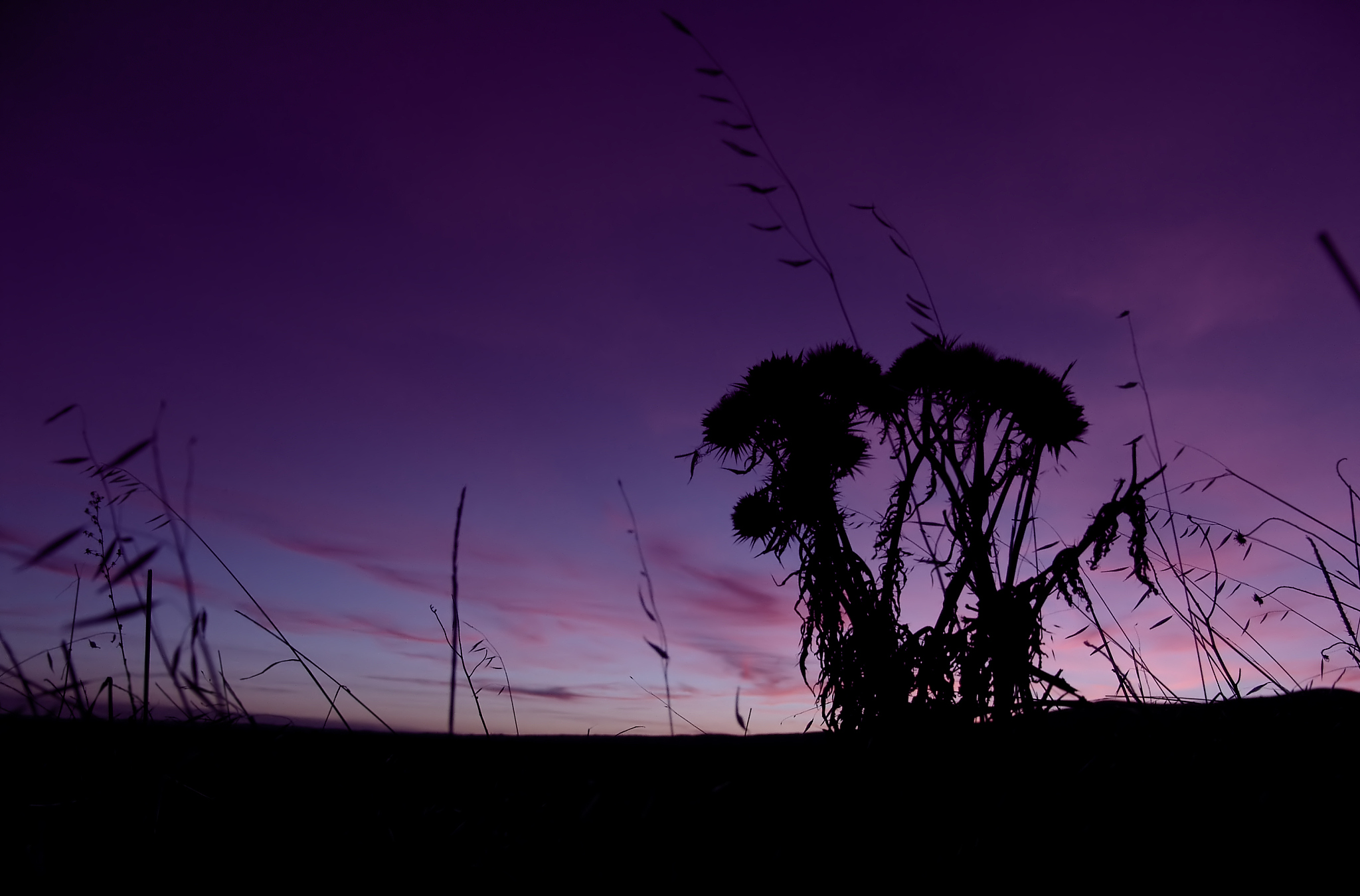 徐立龙：一个充满矛盾与反差的神秘人物