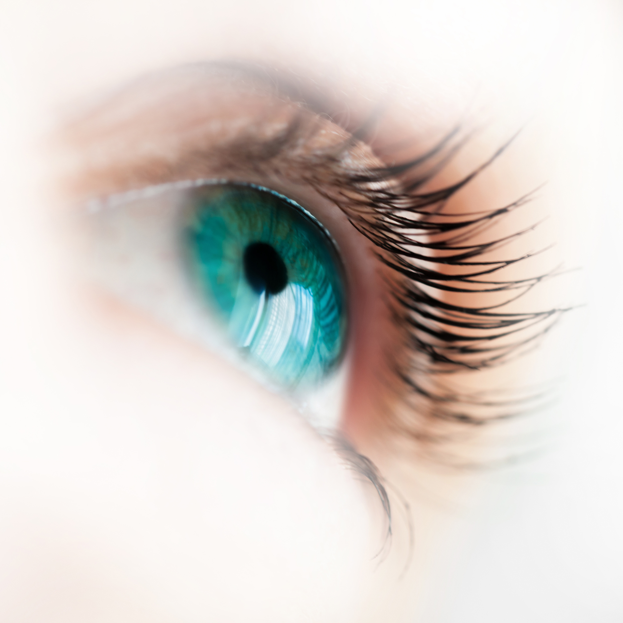 human  eye