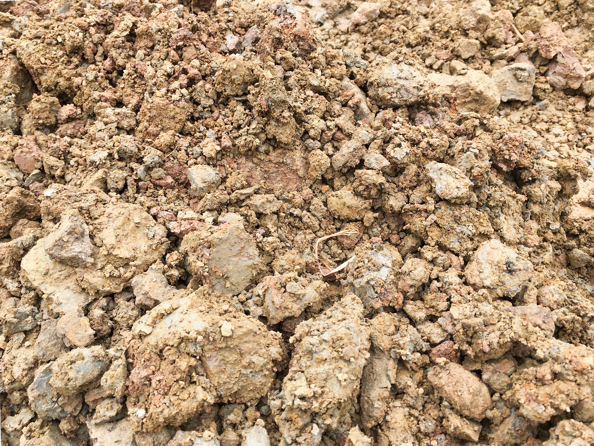 三种黏土微观结构深度解析：淤泥质黏性土、淤泥质粉质黏土、粉质黏土