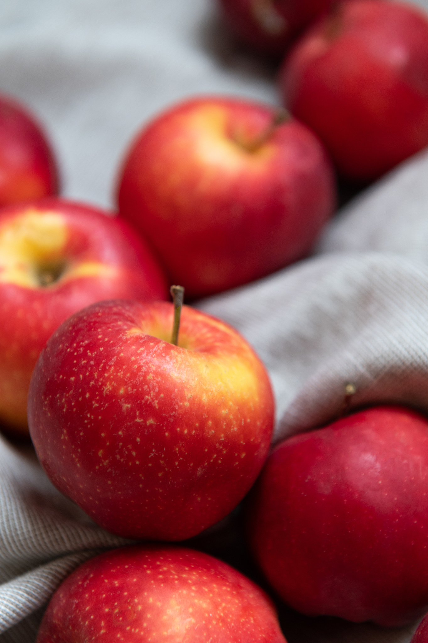 apple harvest