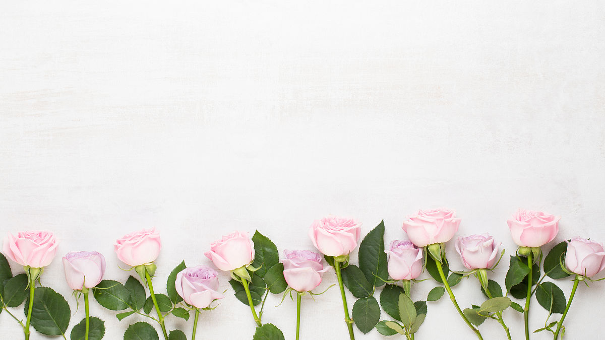 我的世界因你而精彩 - 感谢你一直陪伴