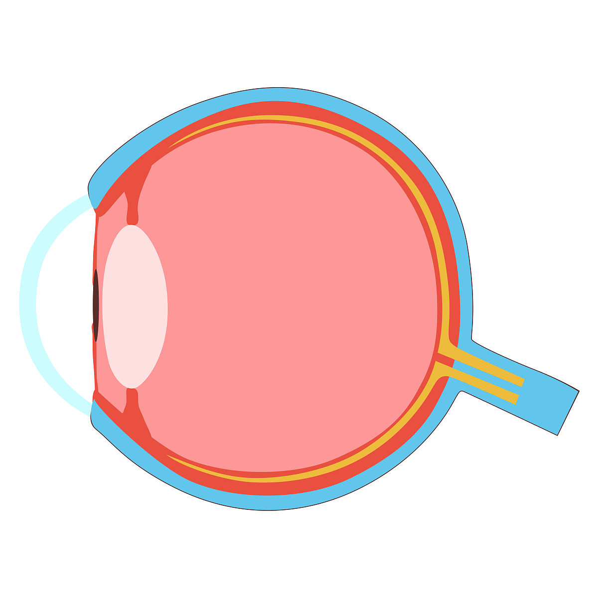 如果把人眼fps是多少