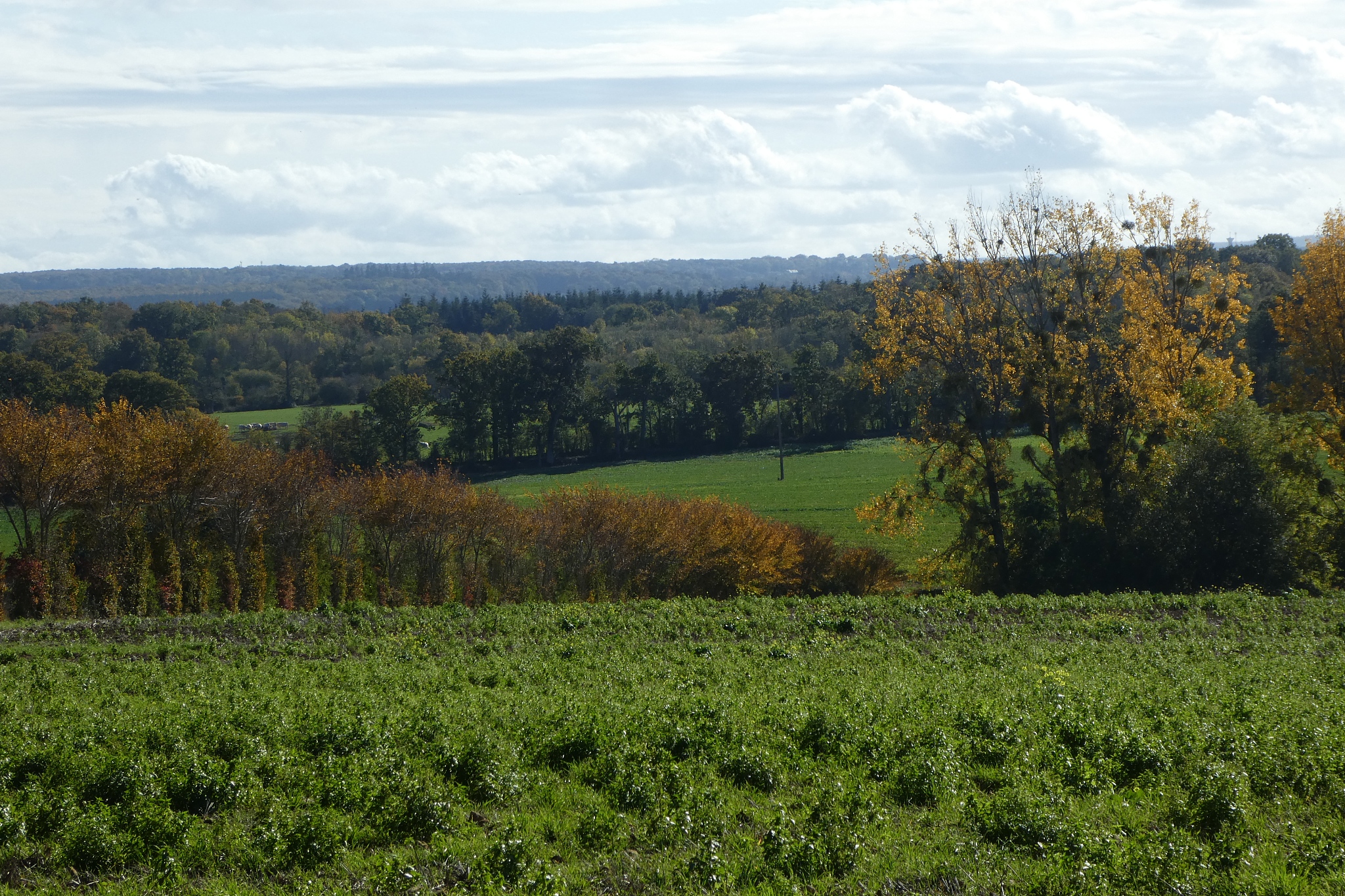 天水农业学校2023年有哪些专业