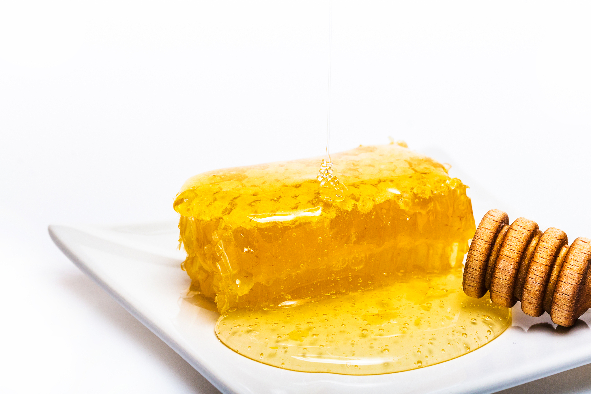 长春市农业学校2023招生简章