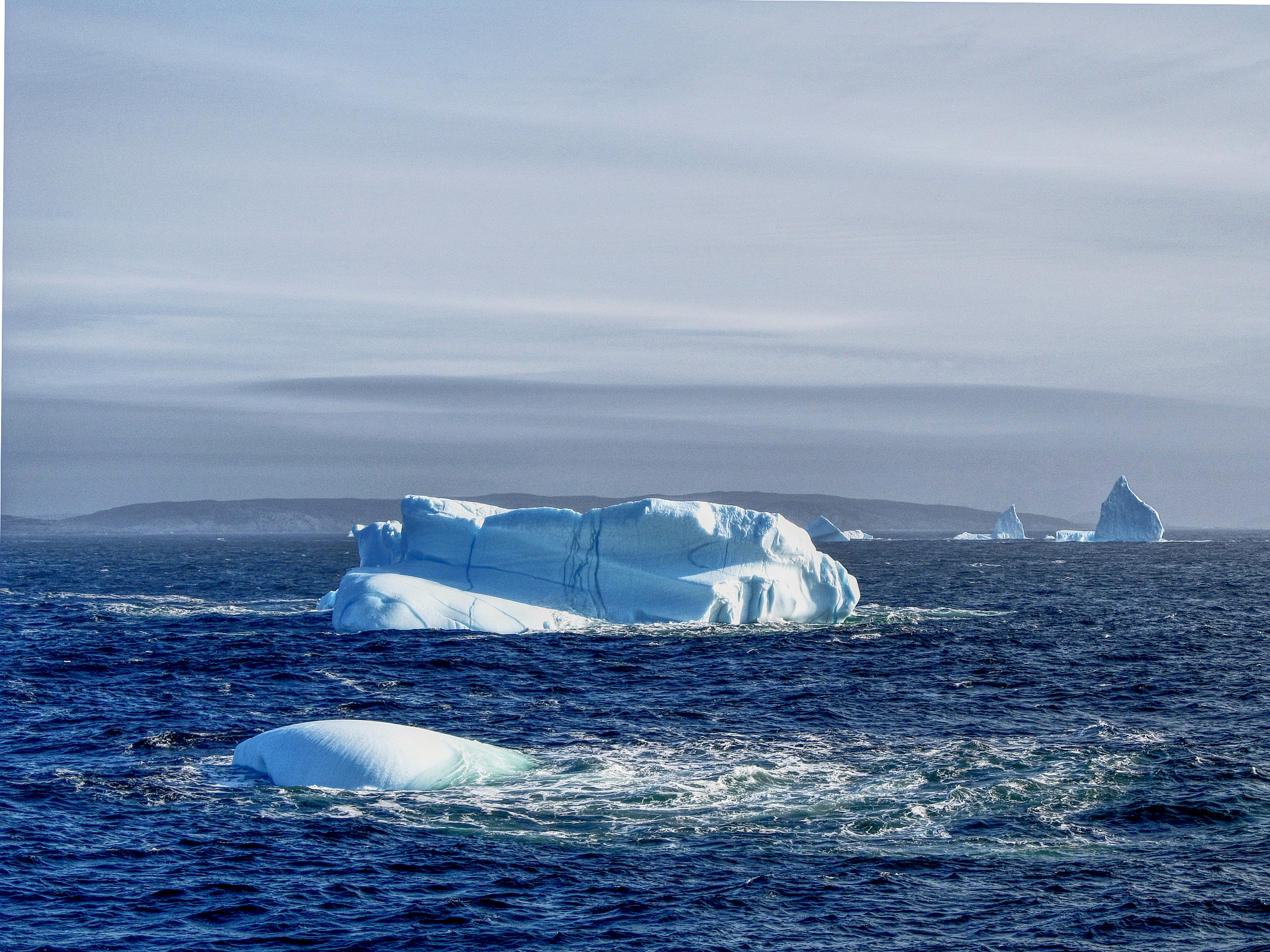 写10条评论：七年后的夏天北极也许不再有海冰