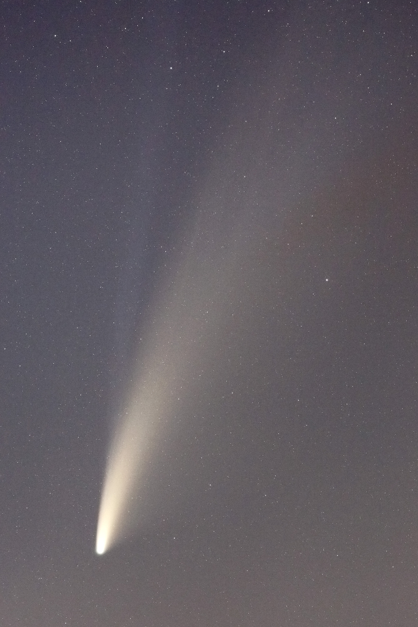 close up on the two tails of neowise comet