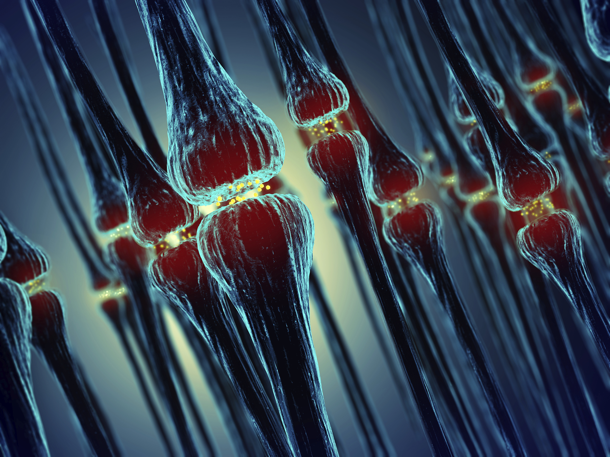台州学院医学院临床医学专业主要课程