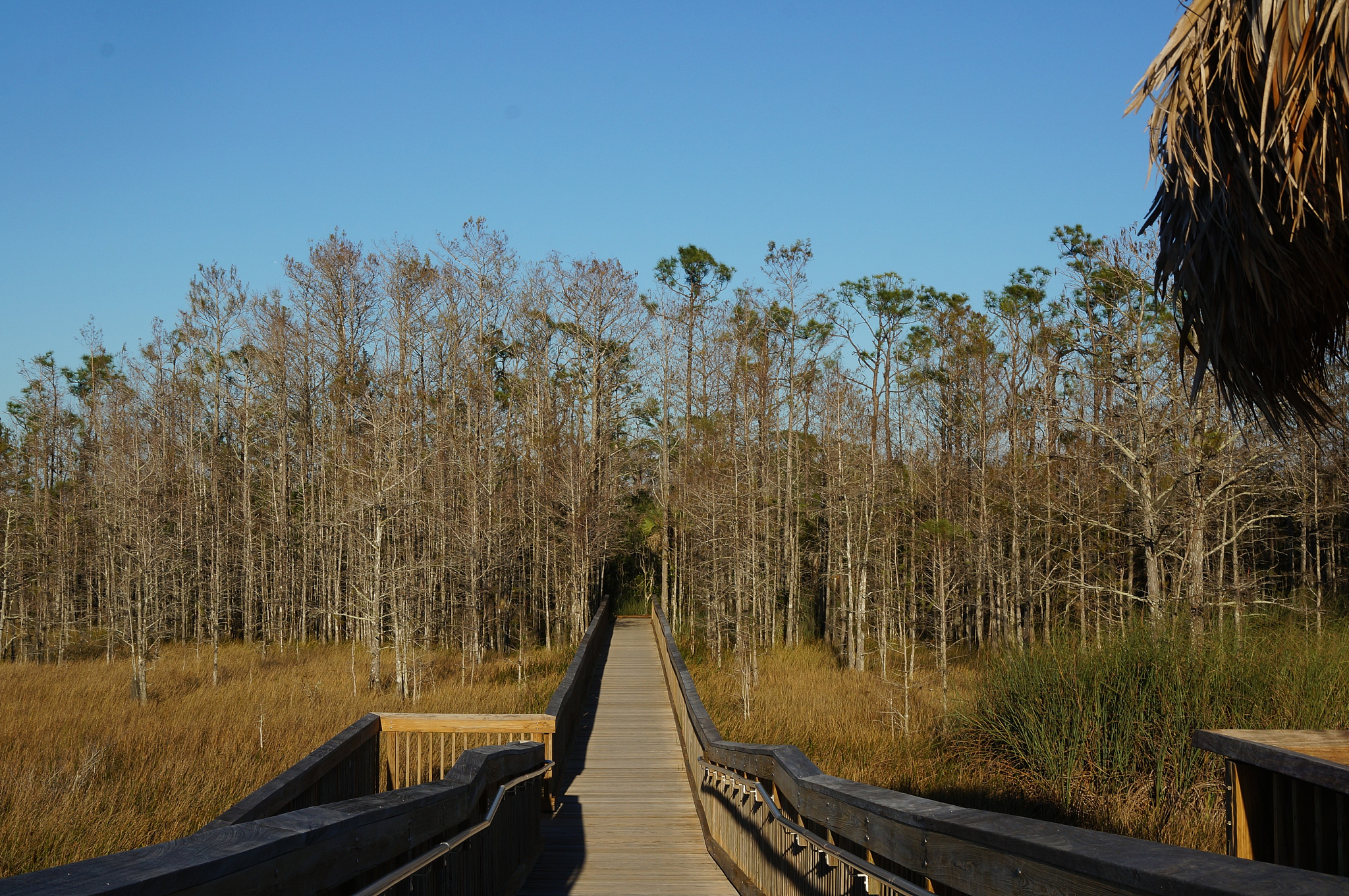 借鉴美国经验，构建中国国家公园视觉资源管理模式
