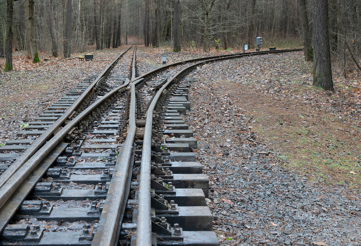 贵州女生学铁道运输专业有没有前途