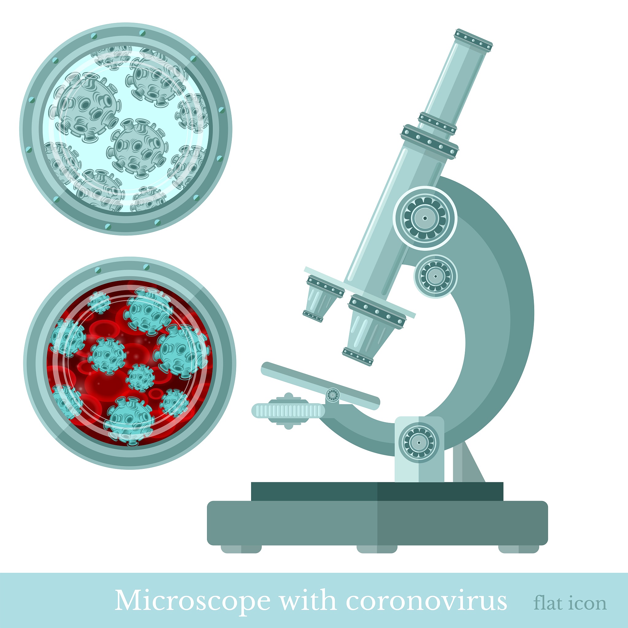 透射电镜发展史：从原子尺度到生物分子观察