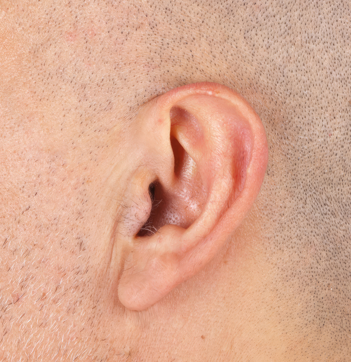 耳朵动来动去是怎么回事？ - 了解耳朵颤动的现象与原因