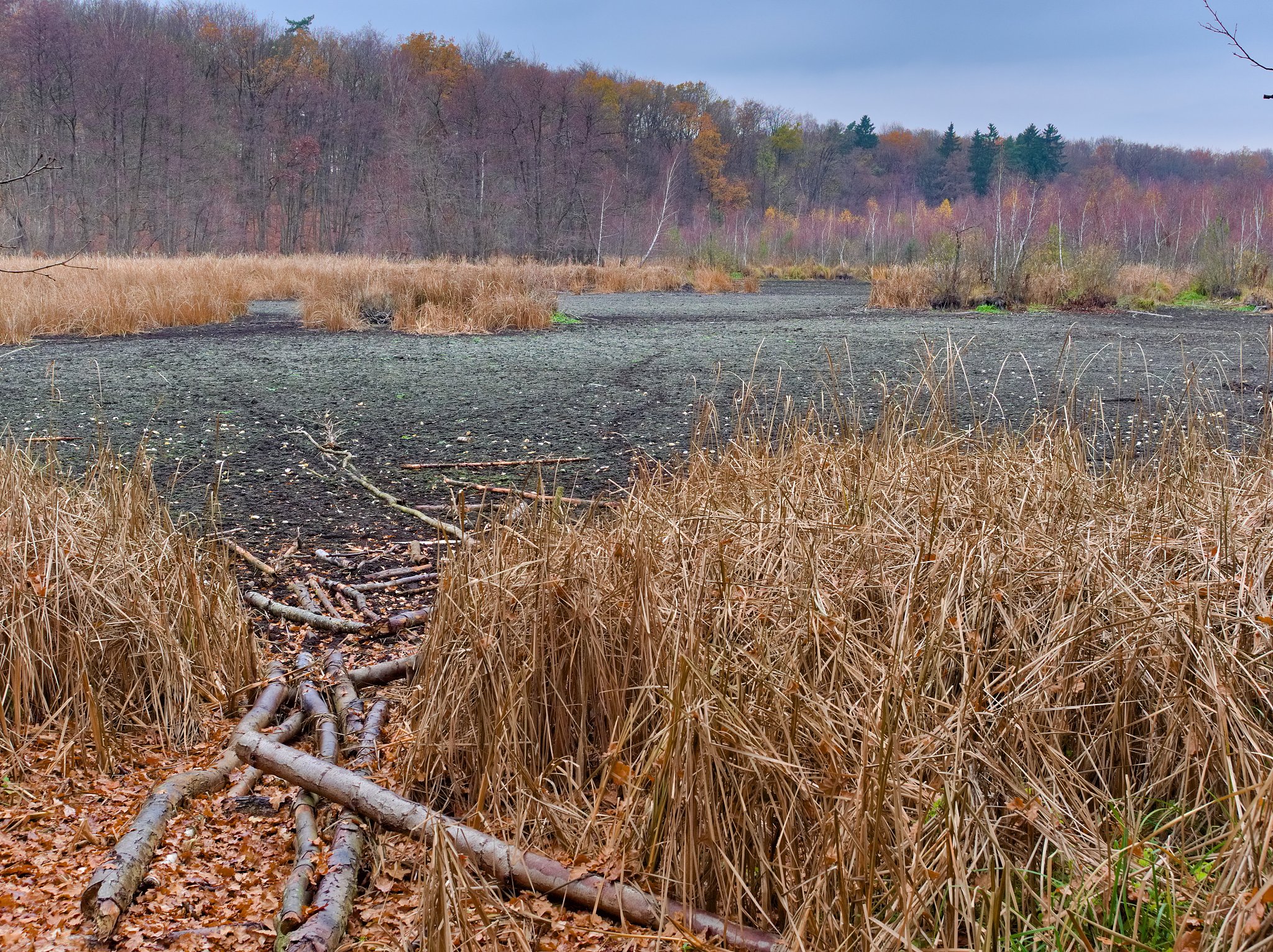 德国污水处理厂渗漏率超过平均干旱天气流量50%的比例