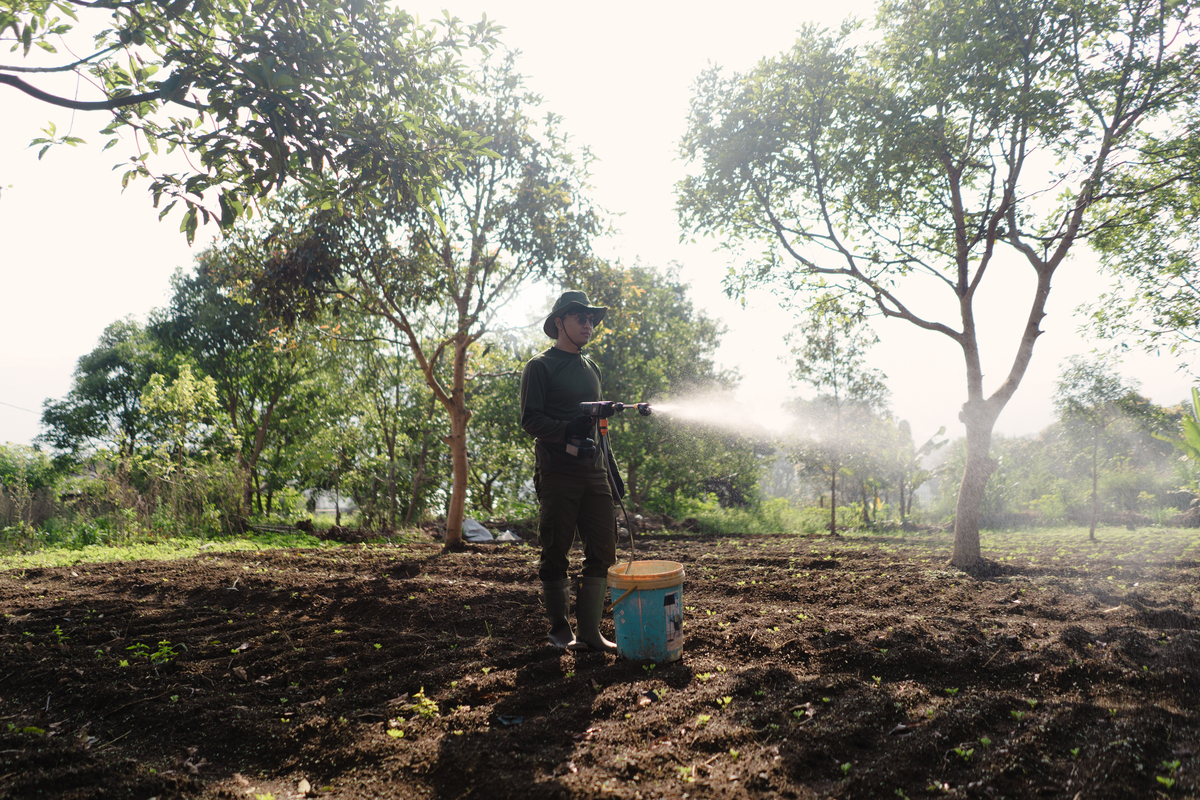 水溶肥怎么喷施？掌握比例和方法，让植物茁壮成长