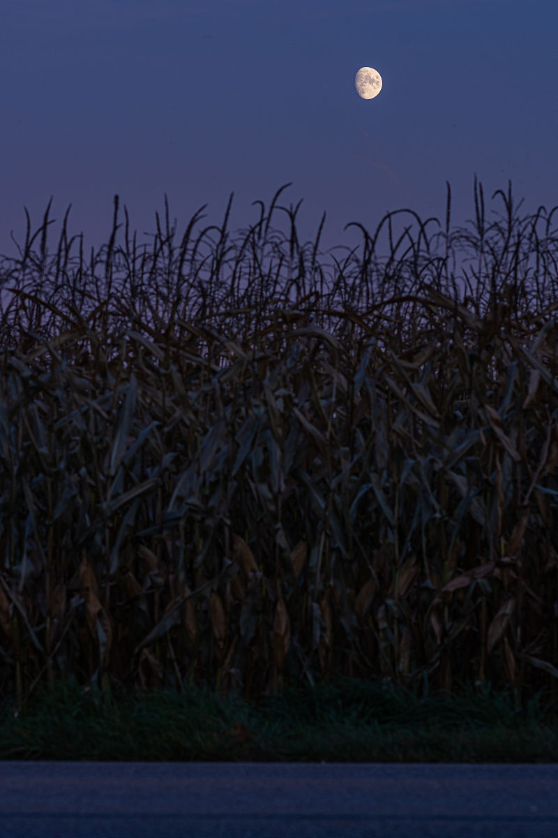 夜深鹤透秋风壁万里西风一剑寒