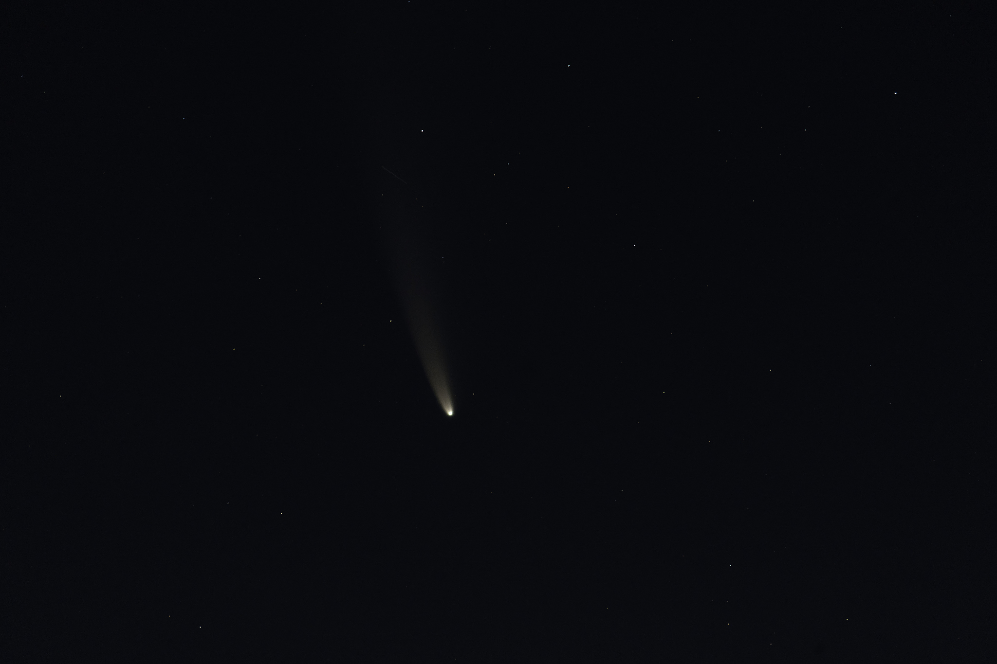 neowise comet in the night sky.