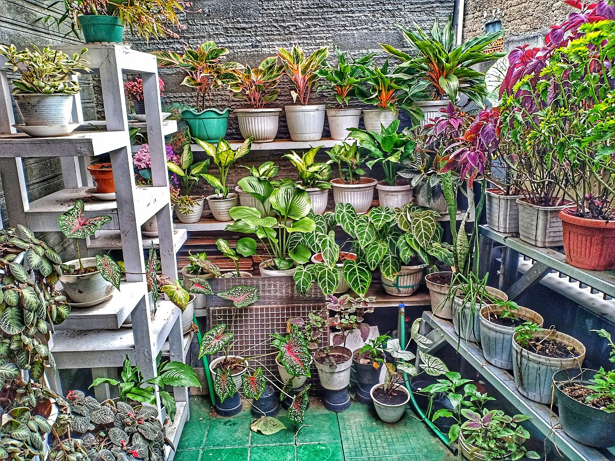 写一篇关于阳台园艺的设计论文