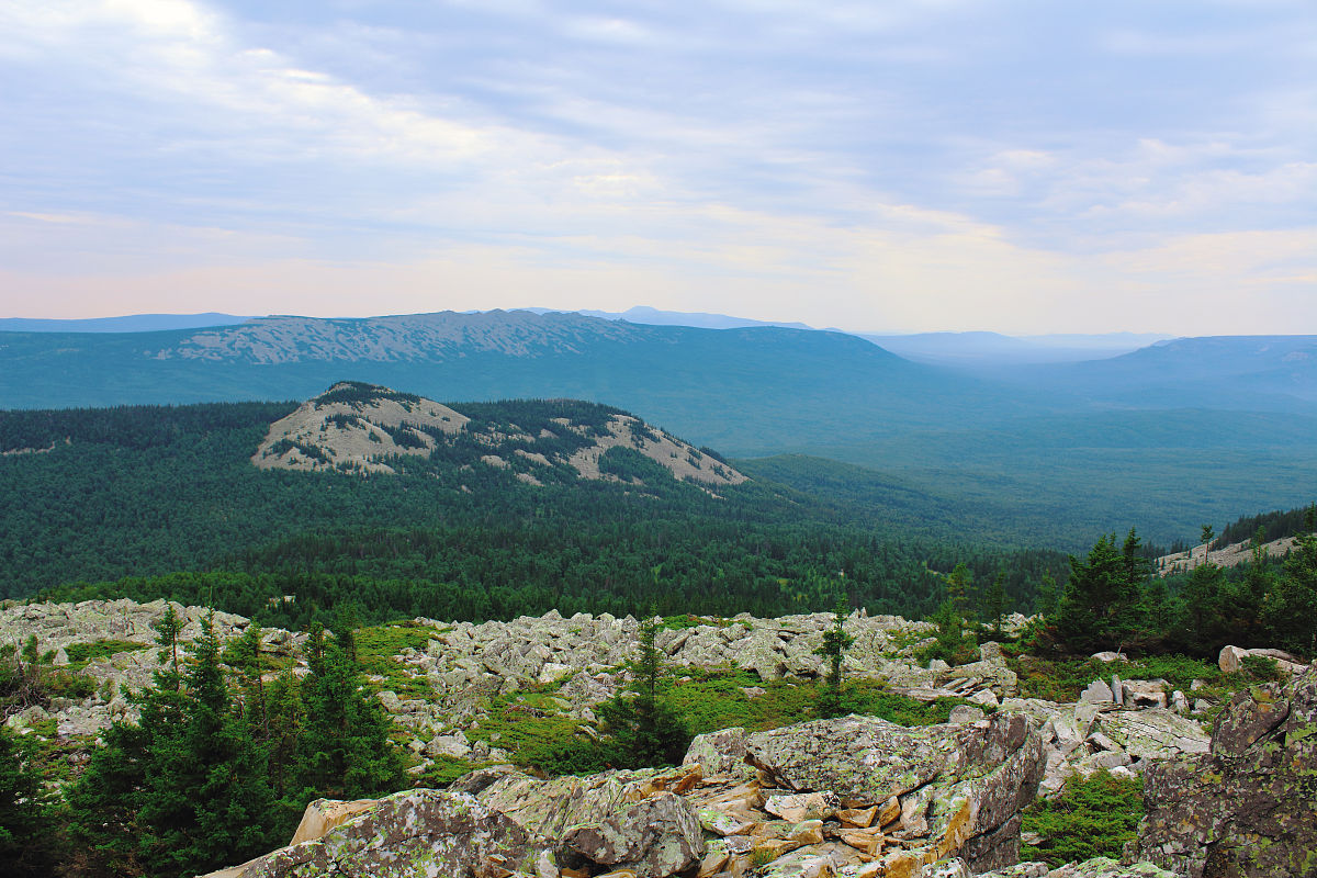 四川的初中毕业学什么专业和选择学校？