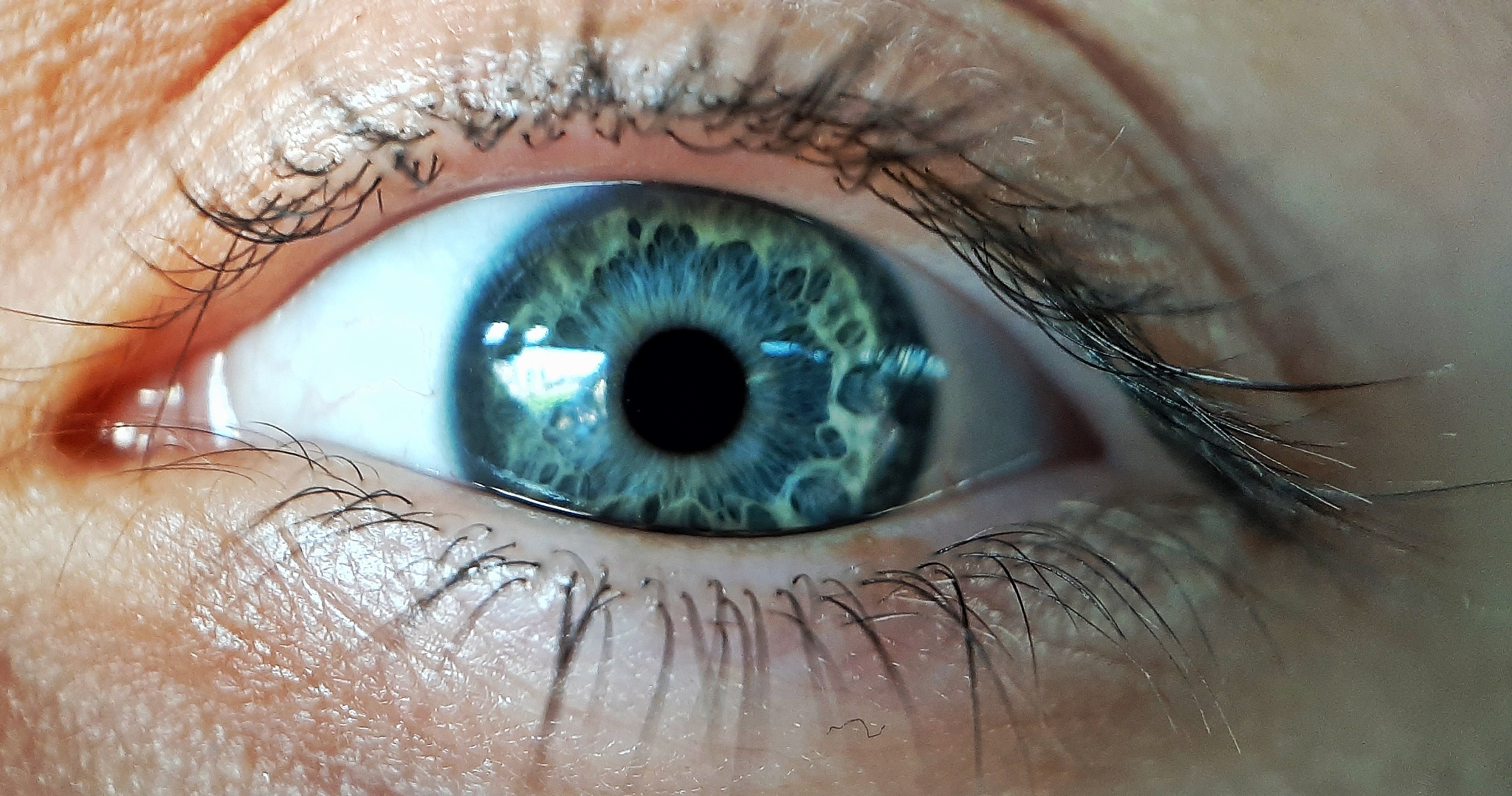 close-up portrait of human eye