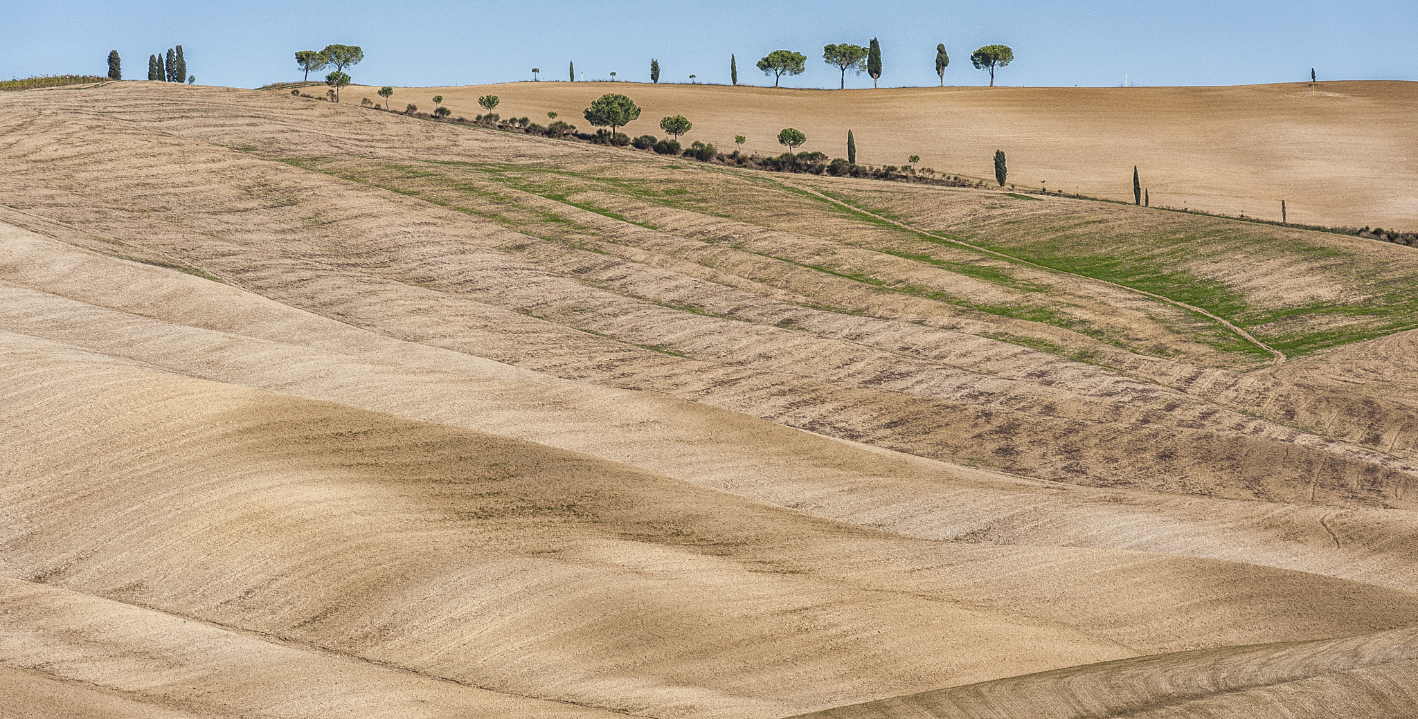 beautiful tuscan landscape near san quirico d'orcia, with rollin