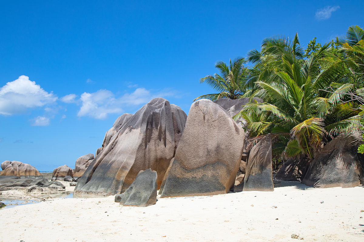 高星级饭店运营与管理专业招生要求