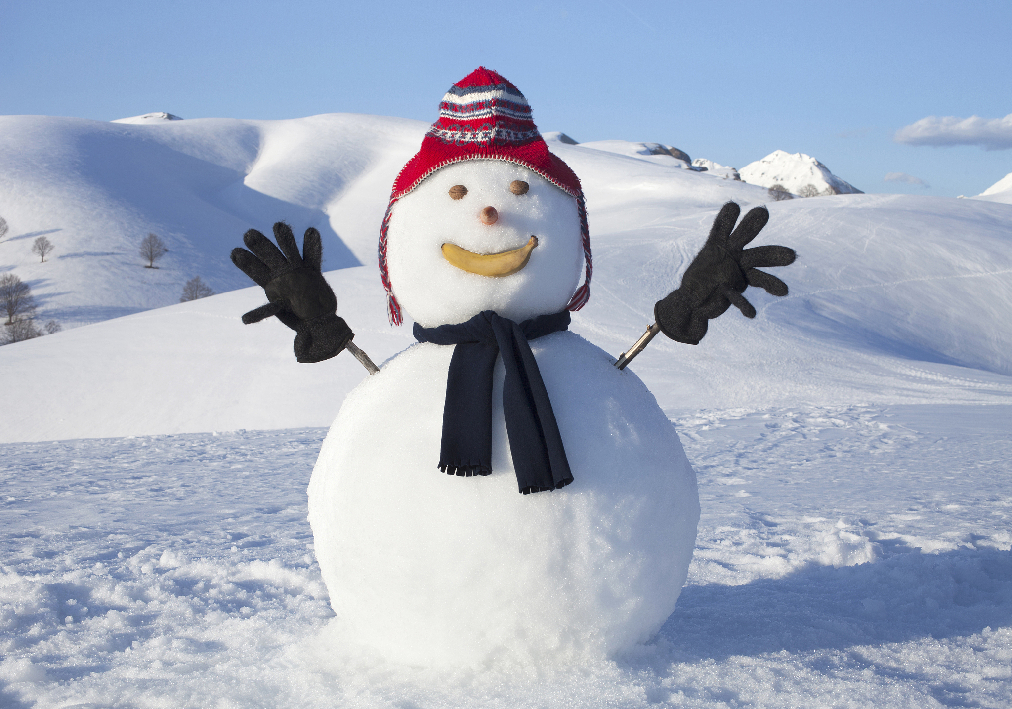 疾病教育教具：模型、幻灯片、视频、海报等