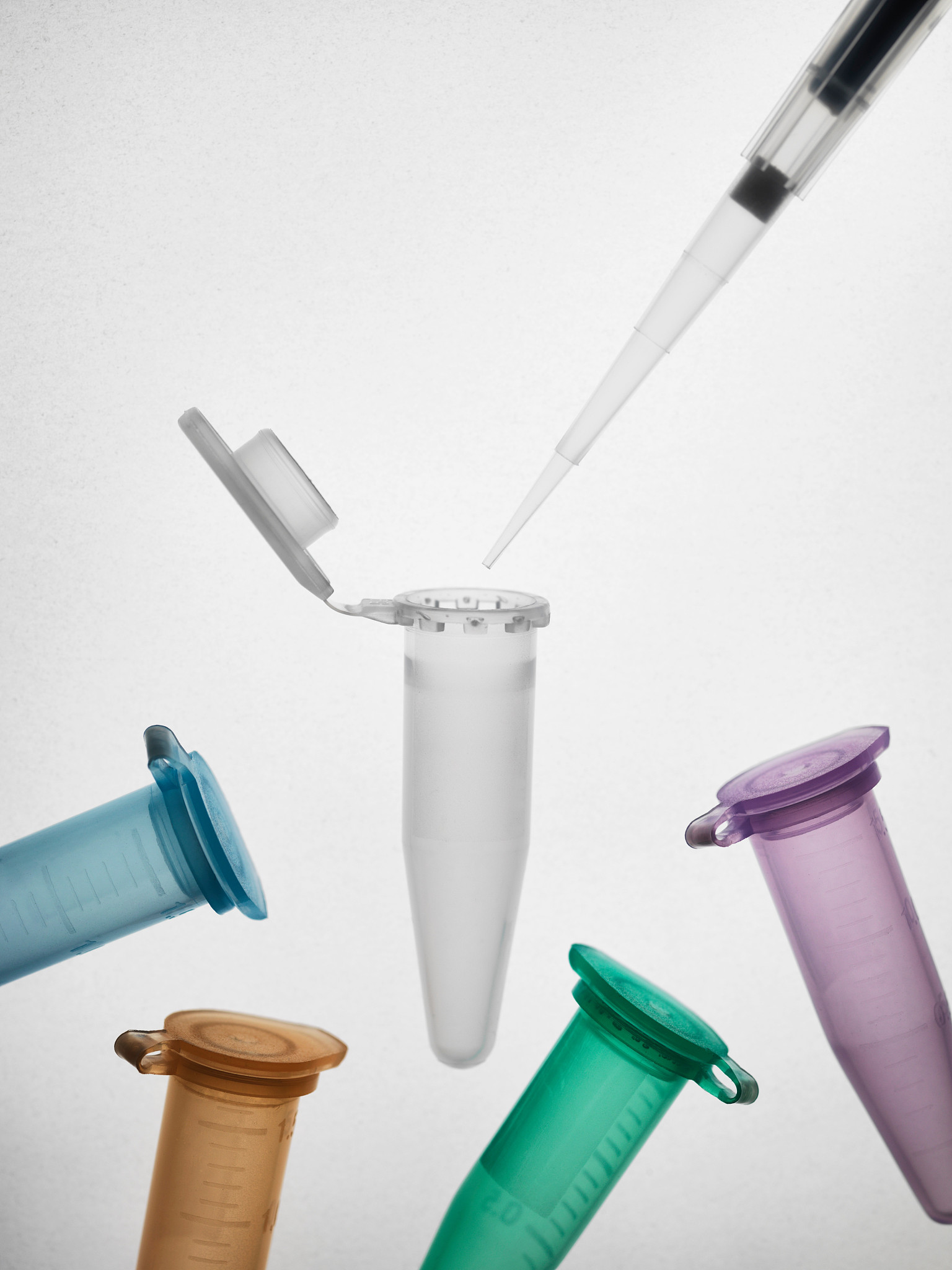 小学趣味科学实验：DNA提取项目设计