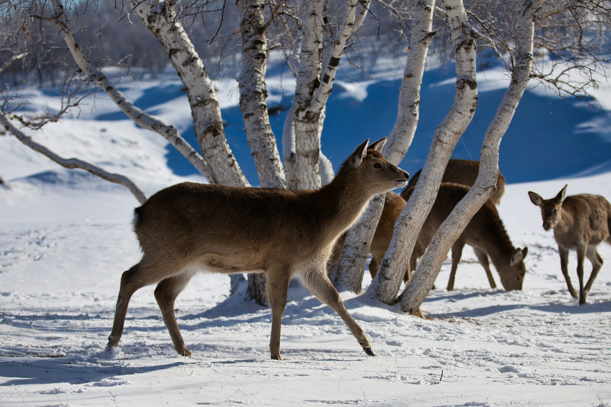 4人霸气群名大全：神话、英雄、王者、无敌，总有一款适合你！