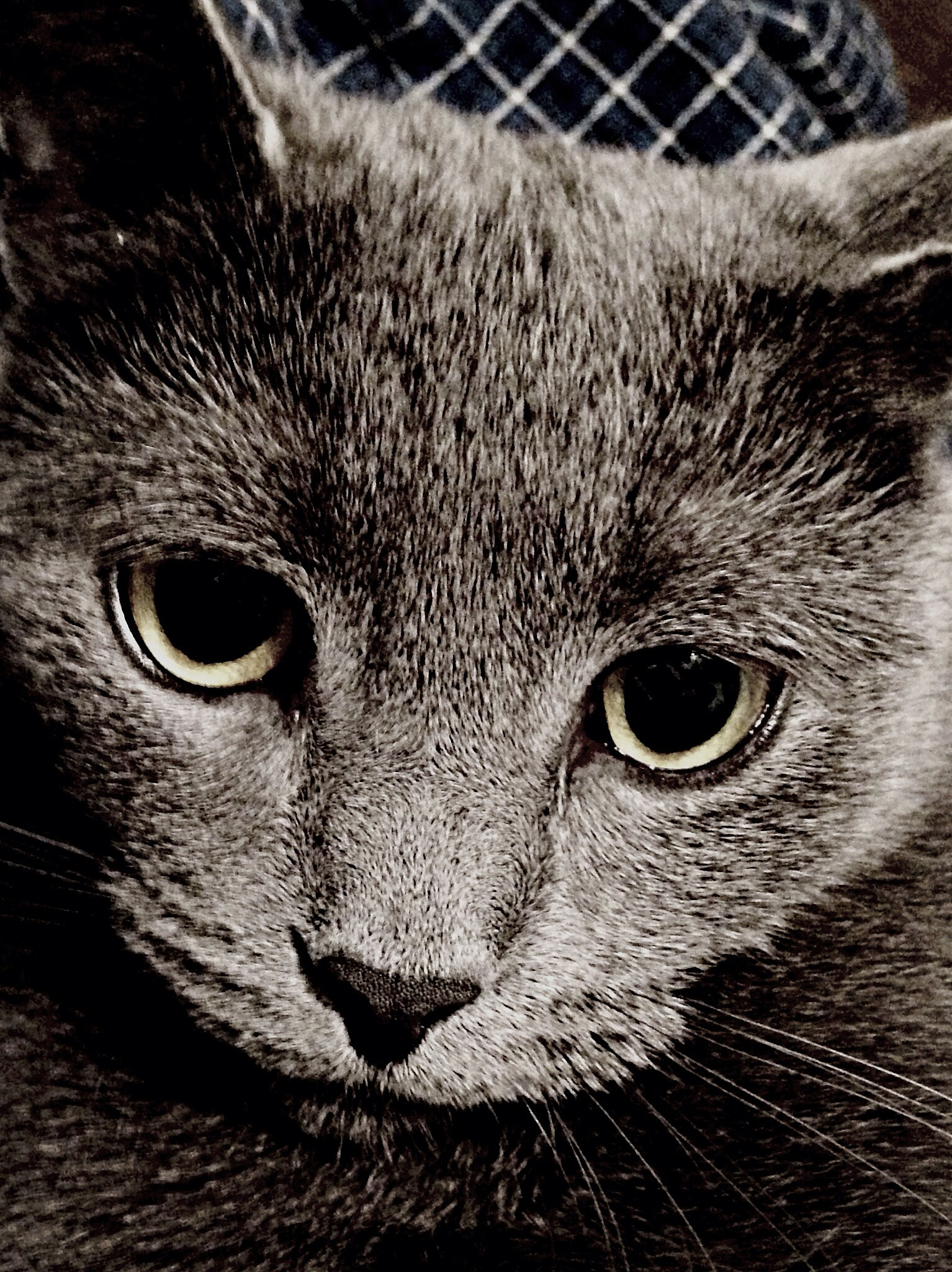 四川水利职业学院2019特种动物养殖专业招生