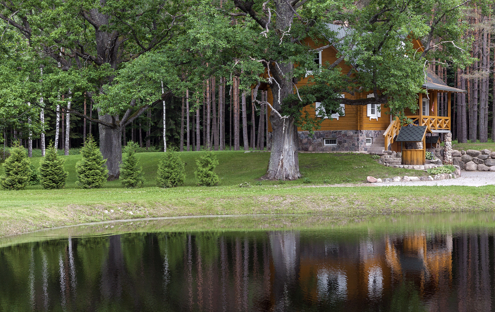 Explore the Wonders of Parks: A Serene Sanctuary