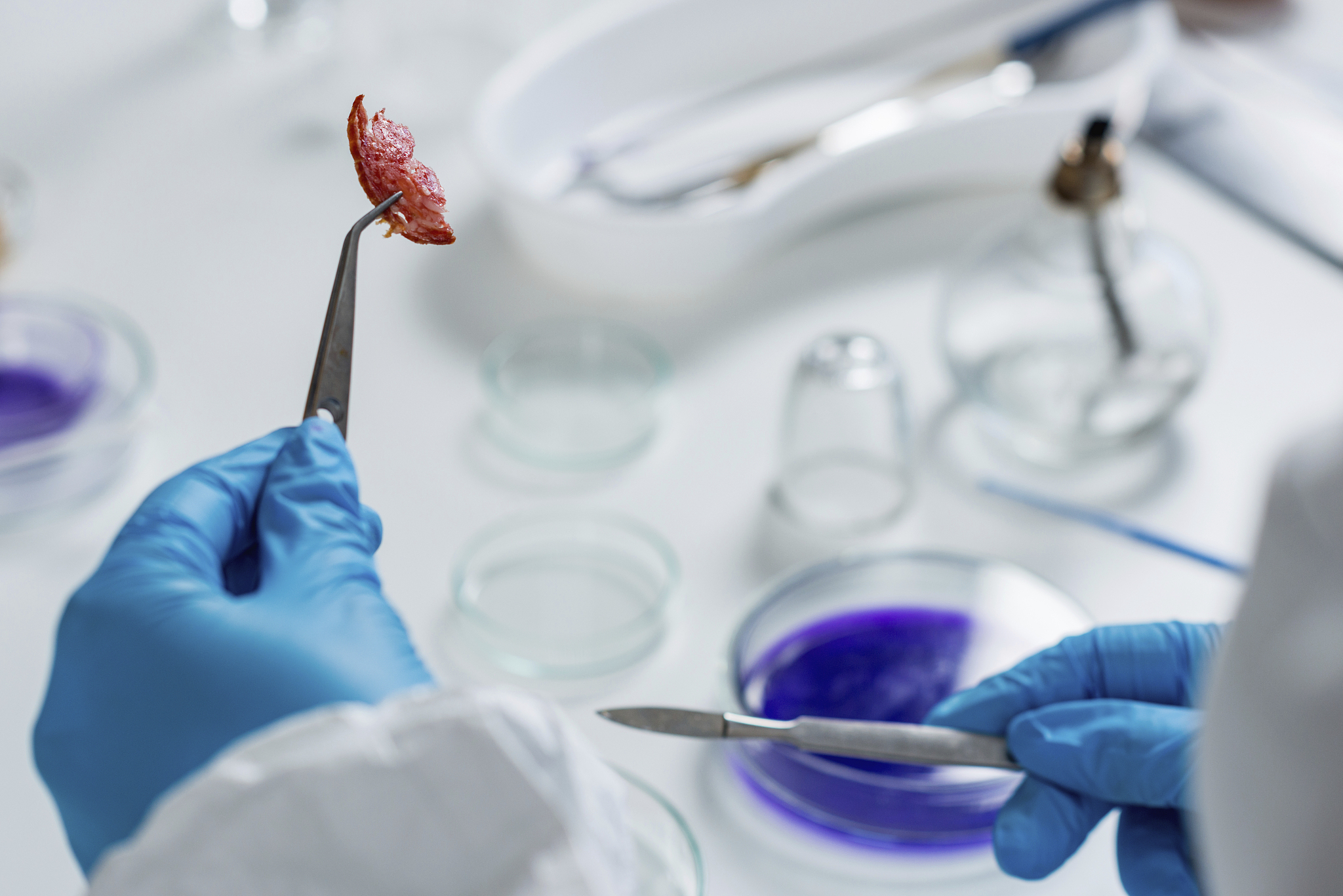 国外生物安全研究：从实验室风险评估到国际标准制定