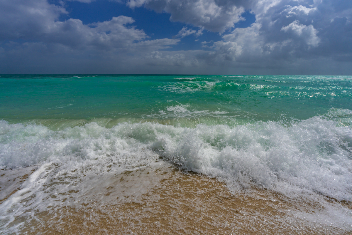 难忘的观潮之旅：感受大自然的力量