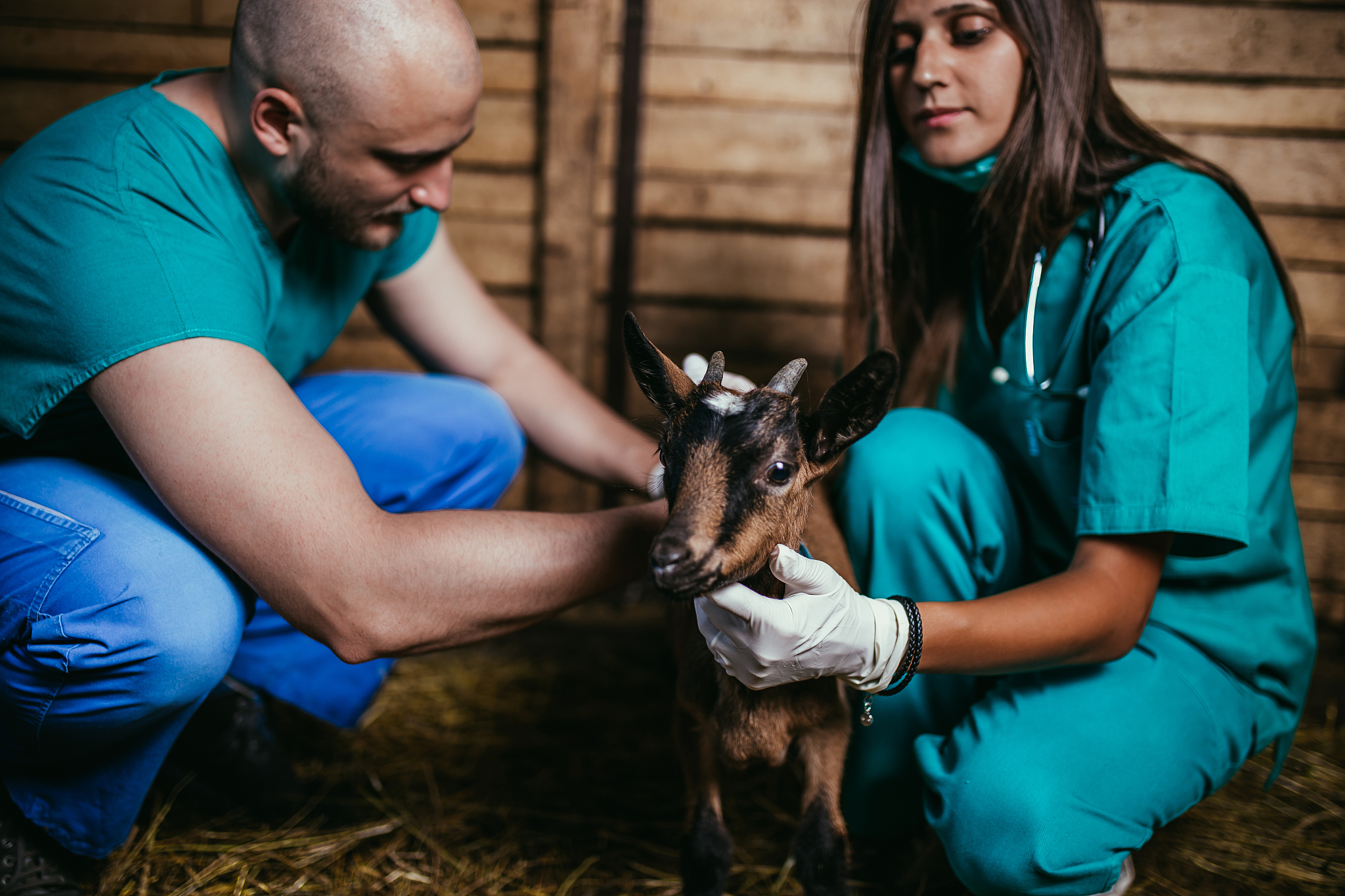 重庆市农业学校招生简章