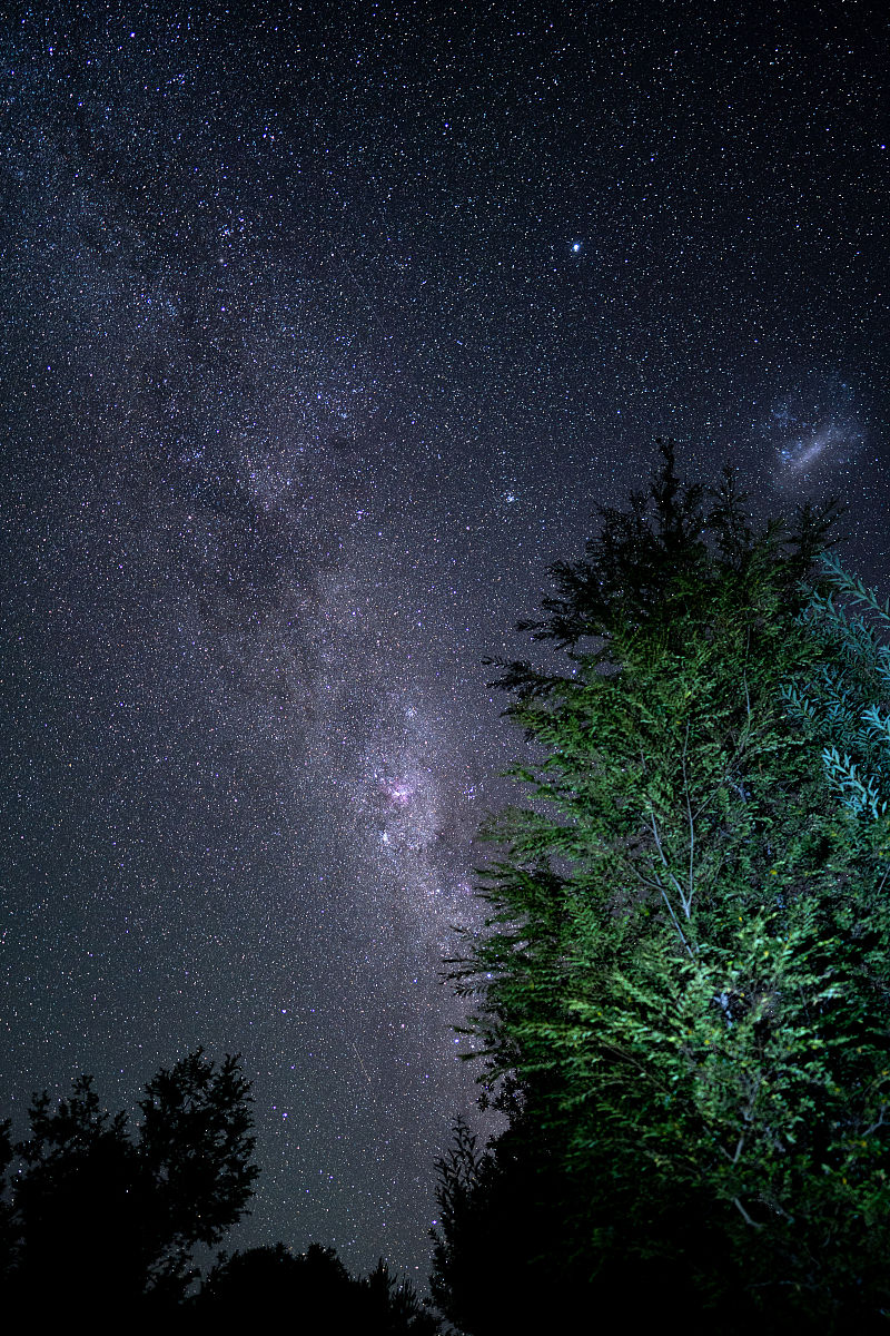 红河州农业学校现代林业技术专业