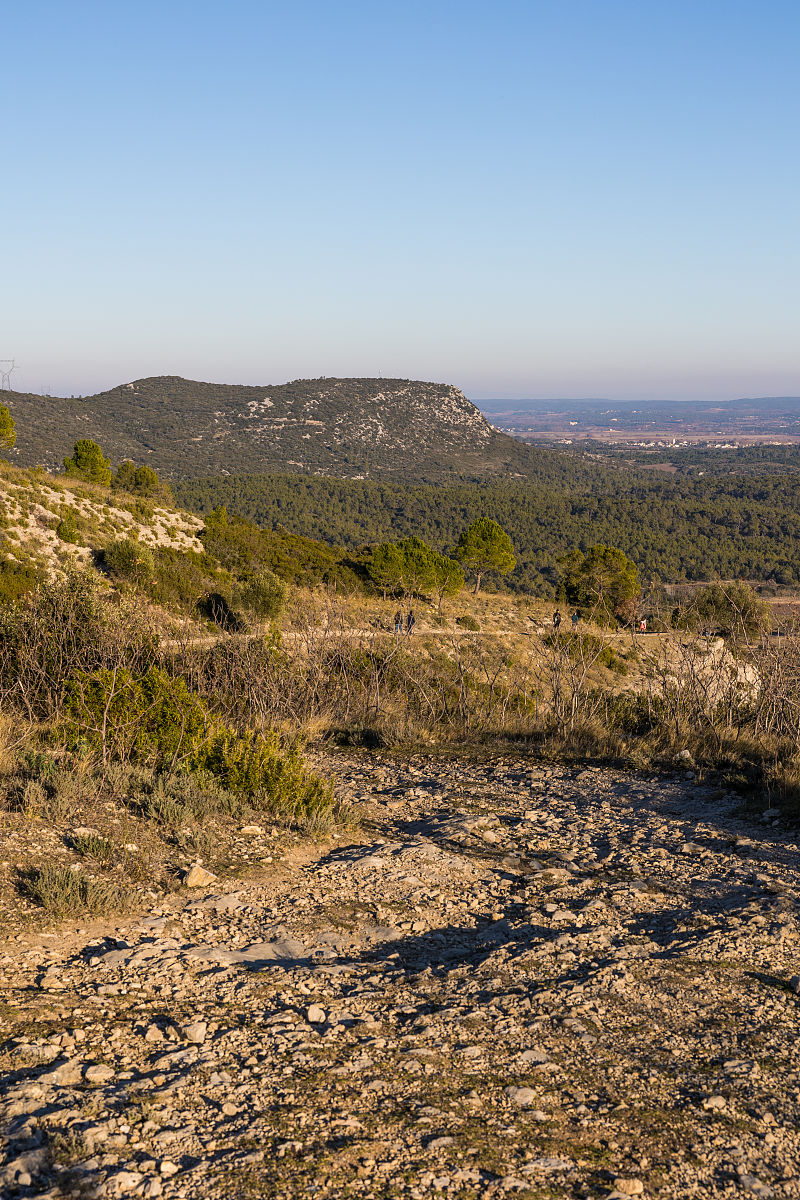 湖南常德市中考真题及解析 - 备战中考，赢取好成绩！