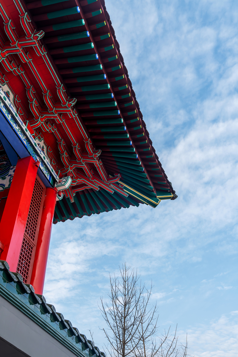 写一个我和中国建筑艺术之间的故事