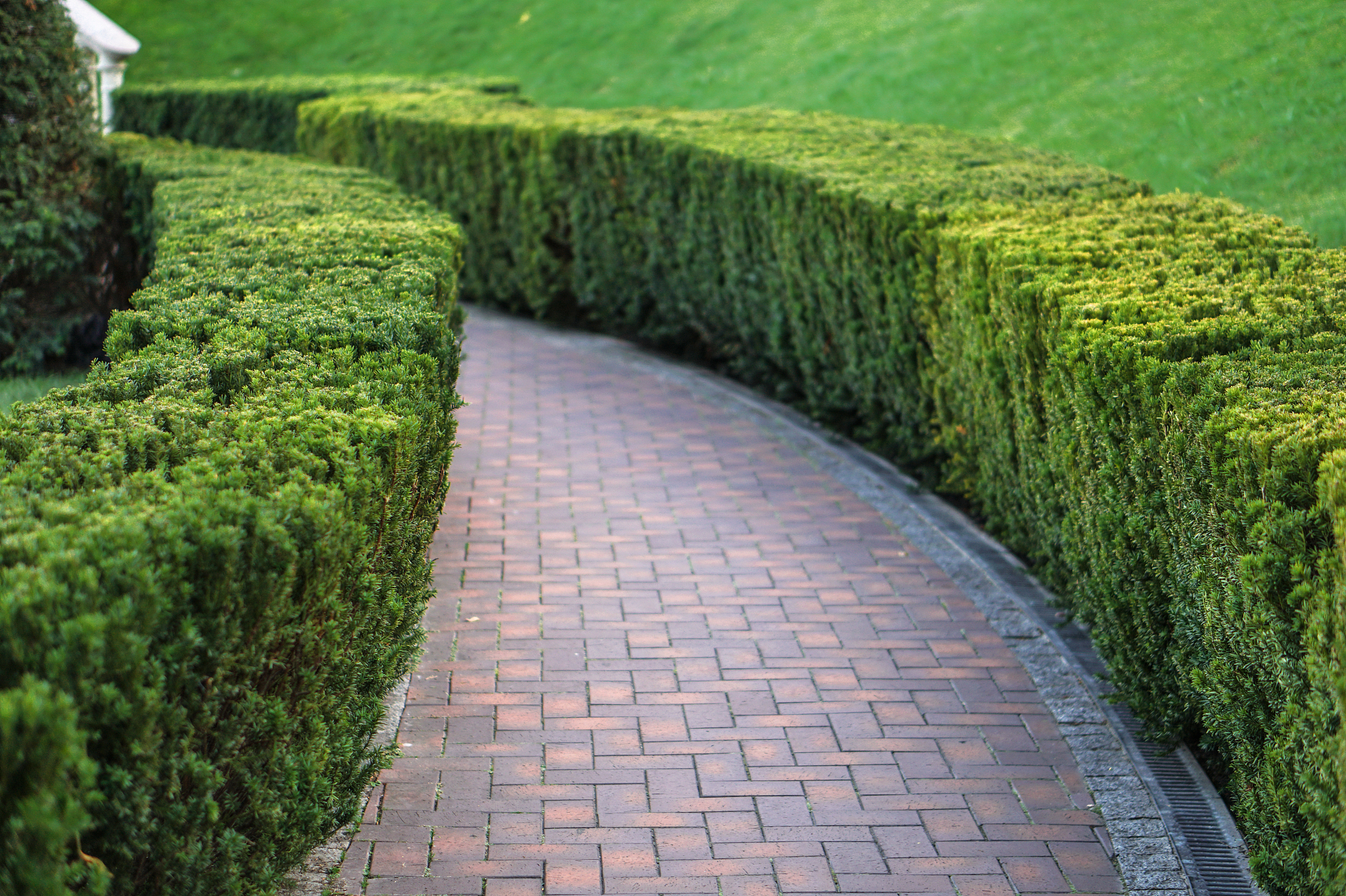 环境心理学：景观设计对人类心理和行为的影响