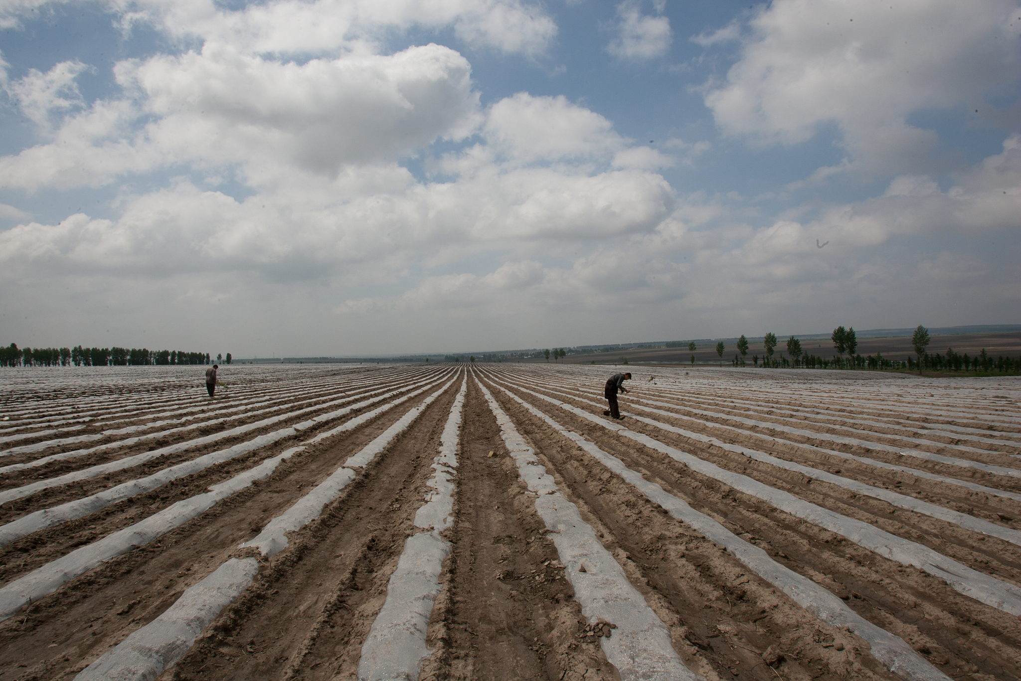 黑龙江职业学院商务英语专业涉及哪些课程