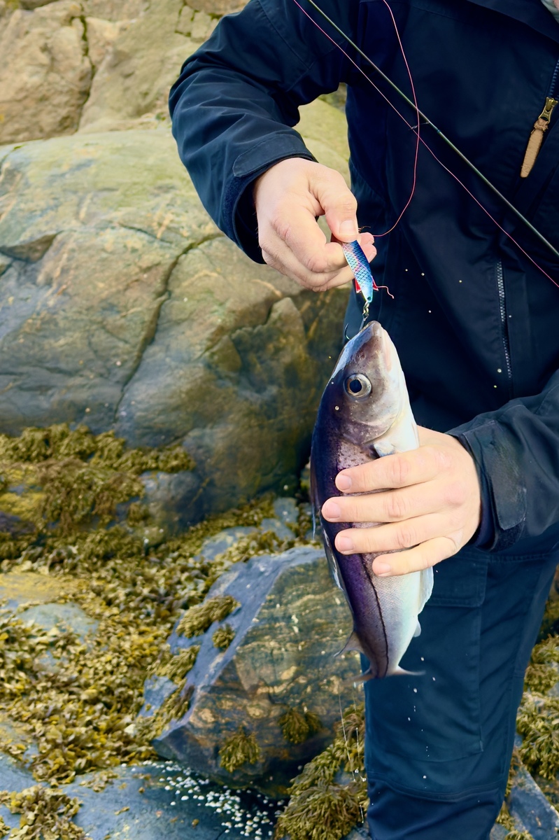 鲫鱼粘网技巧：网眼、指数与捕捞效果