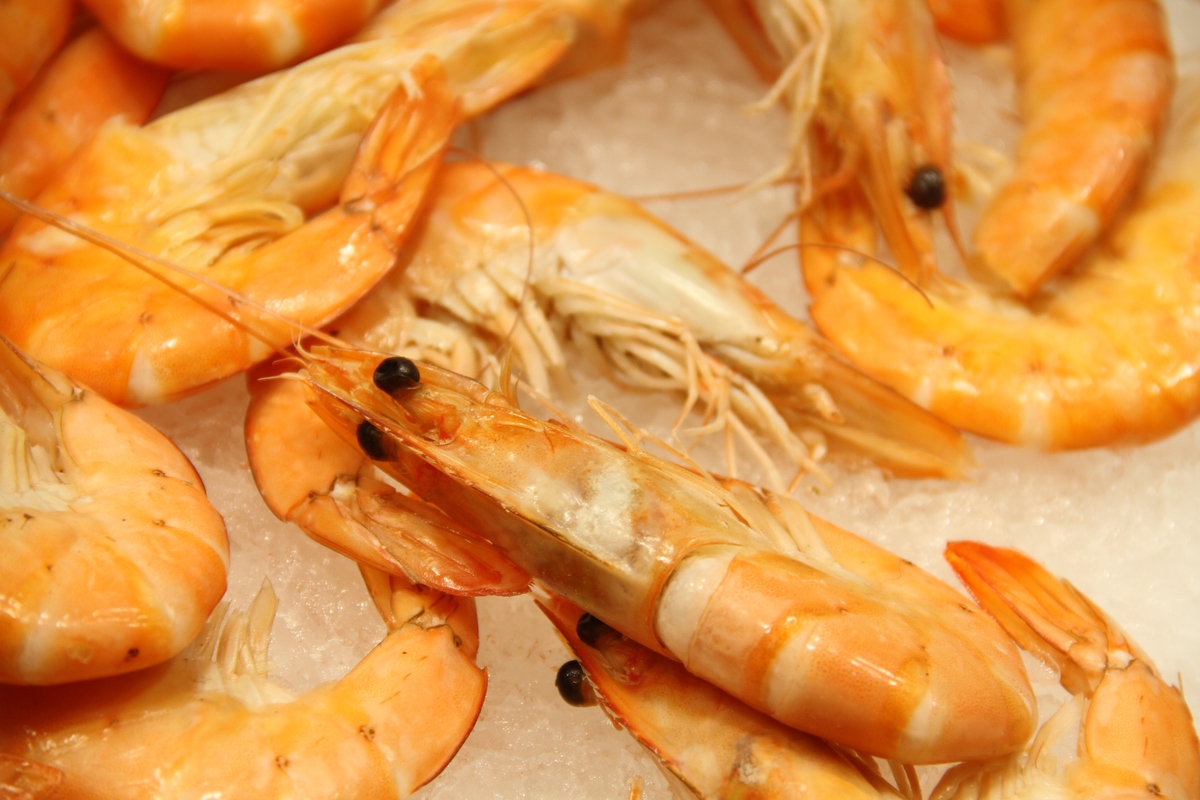 虾头虾脚变色？可能是这几种原因！